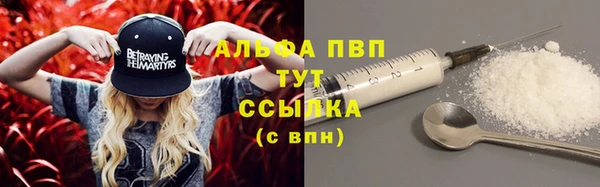 кокс Корсаков