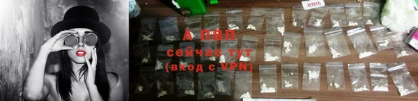 шишки Козловка