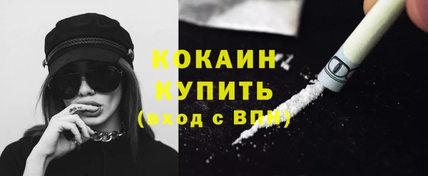 шишки Козловка