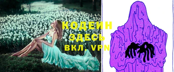 шишки Козловка