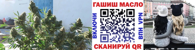 Дистиллят ТГК гашишное масло  закладка  Снежногорск 
